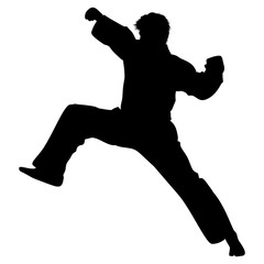 Karate athlete silhouette. Perfect for stickers, icons, logos and elements or advertising ornaments