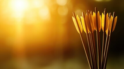 Vibrant Quiver Full of Arrows in Sunset Glow