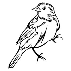 Little bird silhouette. Perfect for stickers, icons, logos and elements or advertising ornaments