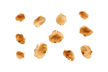 Dry rose petals on transparent background for insertion