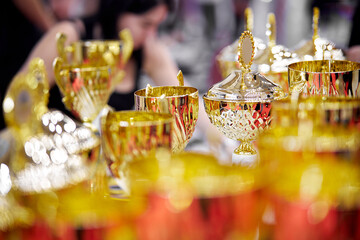 Trophy awards for champion leadership in tournament. Trophy awards for champion leadership.	
