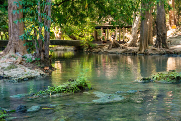  น้ำตกวังก้านเหลือง,สวนรุกขชาติวังก้านเหลือง,น้ำตกวังก้านเหลือง ลพบุรี,เดินป่าศึกษาธรรมชาติ 