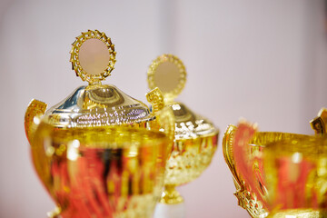 Trophy awards for champion leadership in tournament. Trophy awards for champion leadership.	
