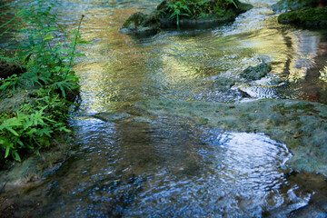  น้ำตกวังก้านเหลือง,สวนรุกขชาติวังก้านเหลือง,น้ำตกวังก้านเหลือง ลพบุรี,เดินป่าศึกษาธรรมชาติ 