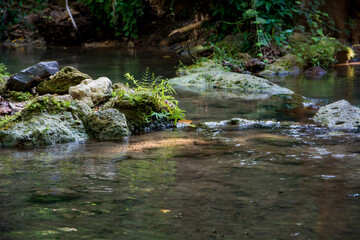  น้ำตกวังก้านเหลือง,สวนรุกขชาติวังก้านเหลือง,น้ำตกวังก้านเหลือง ลพบุรี,เดินป่าศึกษาธรรมชาติ 