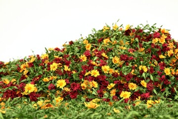 Vibrant Stylized 3D Mustard Greens Illustration