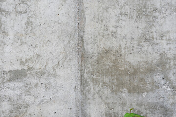 concrete wall