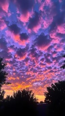 Vibrant sunset painting the sky with purple and orange hues