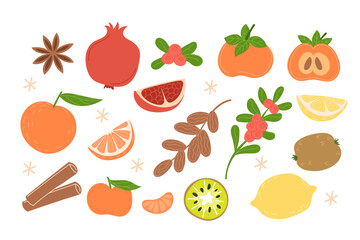 Set of winter fruits with spices