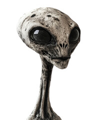 Obraz premium Gray tall alien transparent background