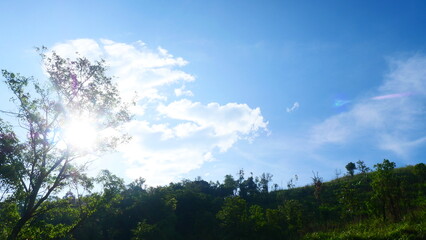 Sunlight streaming through the trees on a hillside, with a beautiful sky as the background