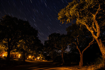 Fototapeta premium Starry Night Sky Over Quiet Rural Street Surrounded by Trees and Rustic Houses