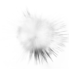 Abstract Black and White Explosion Design