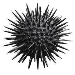 Obraz premium Black Spiky Abstract Sculpture with Sharp Points