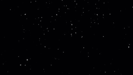 Winter snowfall, snow animation, seamless loop. Isolated snow falling on a transparent background. Realistic snow fall seamless loop animation. Falling snow flakes overlay. Alpha channel