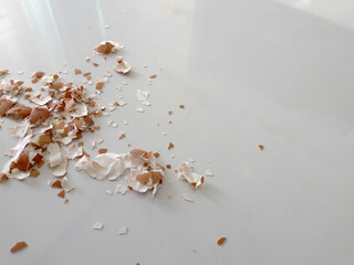 eggshells on a white background