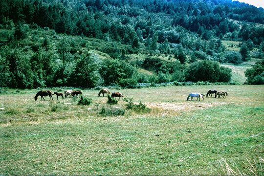 Mountain landscape along the road to Col du Linas, Occitanie, France