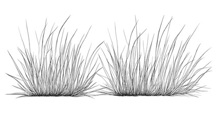 Set of vector grass illustrations on a white background. Architectural Drawings, Minimal style cad turf drawing, Side view, set of graphics meadows elements outline symbol for lawn landscape design