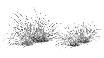 Set of vector grass illustrations on a white background. Architectural Drawings, Minimal style cad turf drawing, Side view, set of graphics meadows elements outline symbol for lawn landscape design © The Illustraitor
