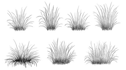 Set of vector grass illustrations on a white background. Architectural Drawings, Minimal style cad turf drawing, Side view, set of graphics meadows elements outline symbol for lawn landscape design