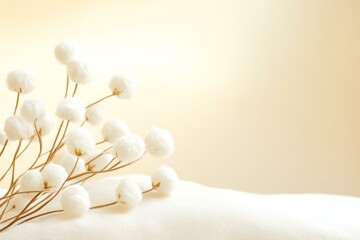 Cotton flowers on soft white blanket, cozy and serene setting.