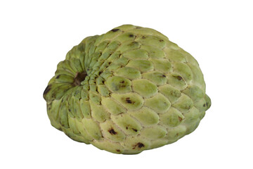 Thai fruit, custard apple, close-up and shockproof