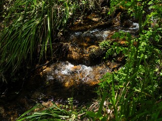 Clear river in Sierra de Aracena, Spain