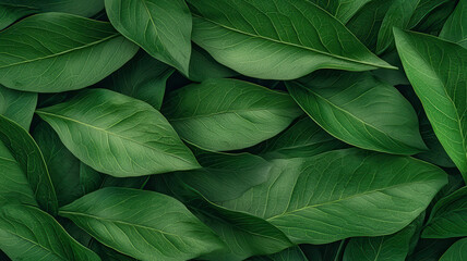 Vibrant green leaves create lush, natural background full of life