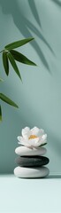 Fototapeta premium A serene arrangement of stacked stones with a lotus flower, complemented by bamboo leaves, set against a soft green wall, evoking tranquility and balance.