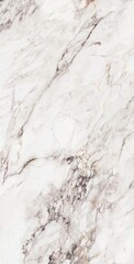 Marble texture for skin tile wallpaper luxurious background. Creative Stone ceramic art wall interiors backdrop design. picture high resolution.