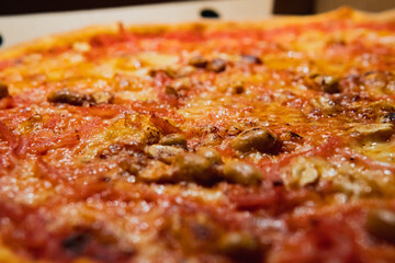 Close up photo of a delicious Swedish pizza. Topped with ham, cheese and peanuts.