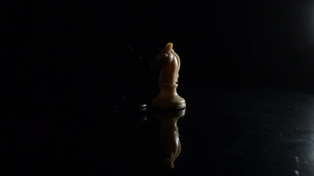 White and Black Horse Figures of Chess face by face