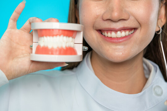 Close up between with smile teet of Asian female doctor compare with Dental Teeth Model dentures on blue background. Healthy with dentist concepts.
