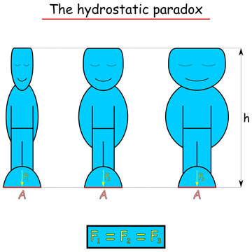 Hydrostatic paradoxon - three containers with liquid of different dummy shapes and volumes, with the containers having the same bottom content and the same liquid height