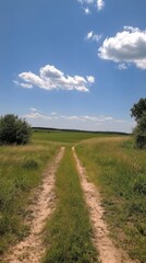 Serene dirt path winding through lush green fields under a bright blue sky
