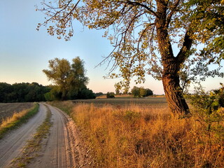 Wiejski krajobraz