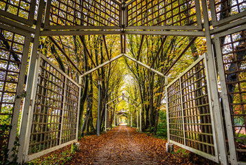 typical gazebo at a park
