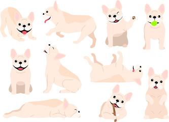 french bulldog various pose set