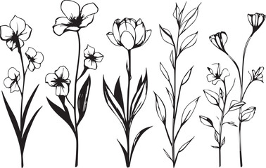 Set Flowers. Hand drawn vector illustration