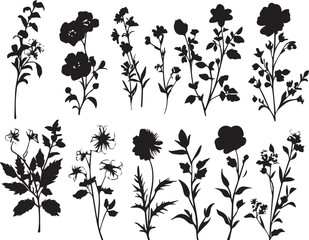 Set Flowers. Hand drawn vector illustration