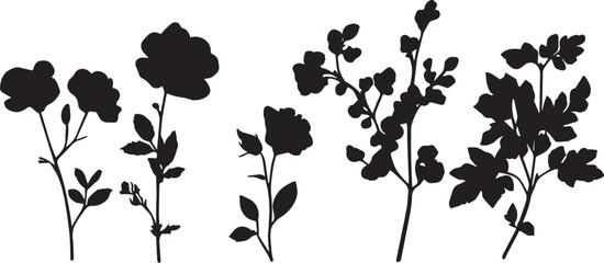 Set Flowers. Hand drawn vector illustration