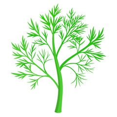 Fototapeta premium Green dill Vector illustration 