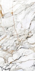  trendy marble texture background. architecture decorative onyx marble wallpaper for home decor and...