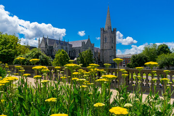 Fototapeta premium Saint Patrick's Cathedral Dublin Ireland