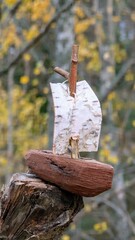 Wooden boat in the forest