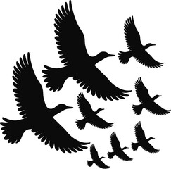 Bird Flying Silhouette  collection Illustration with a white background