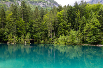 blausee in the swiss alps