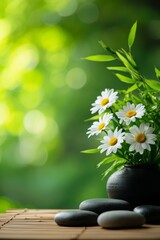 A serene arrangement of daisies in a vase beside smooth stones, set against a soft, blurred green background, evoking tranquility and nature's beauty.