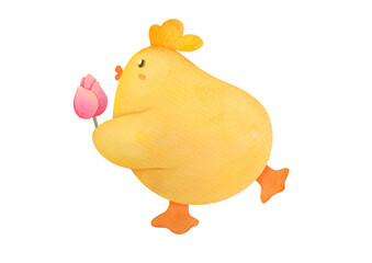 Baby chick with flower, Easter themed cute funny animal, spring watercolor hand drawn illustration of yellow chicken isolated on white background. clip art and cut out element design