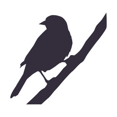 Bird Silhouette Vector Bird Animal Outline Drawing Bird Isolated Clip Art Design Wild Creative White Background.